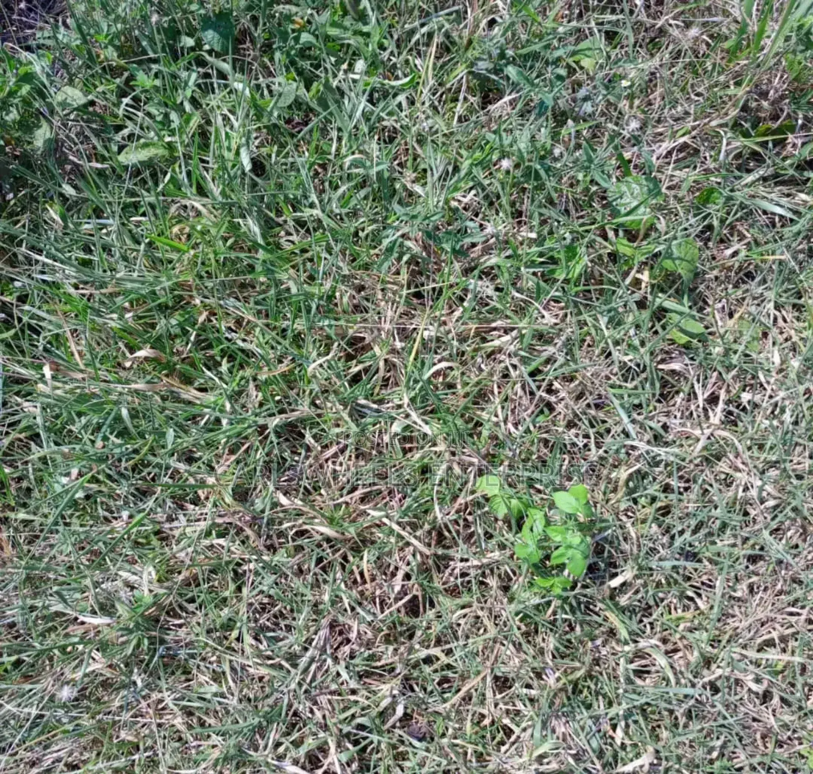 500qm Plots of Land in Amber Court Estate Epe.