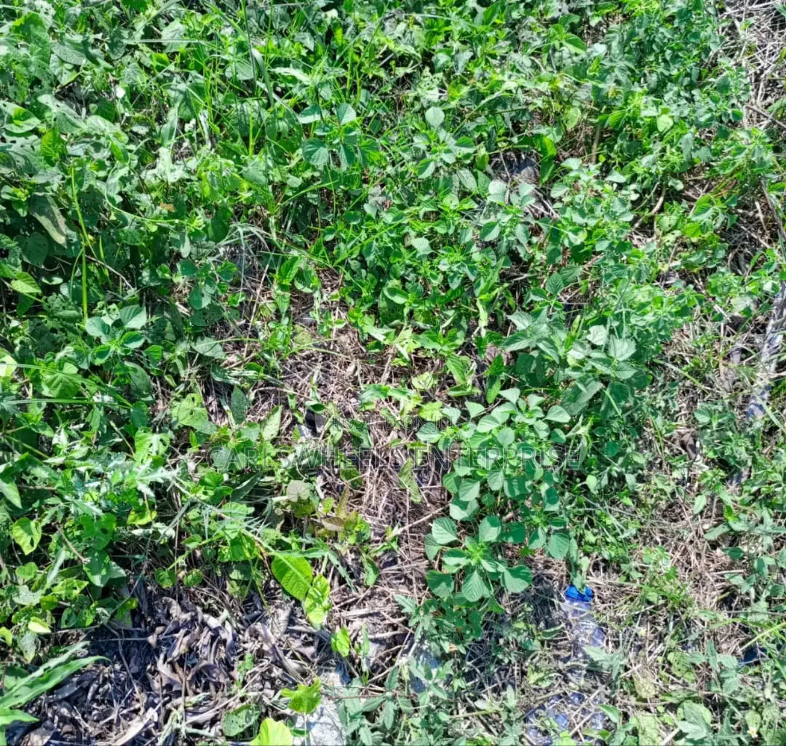 500sqm Size Plots of Land in Dangote Refinery Facingthe Road