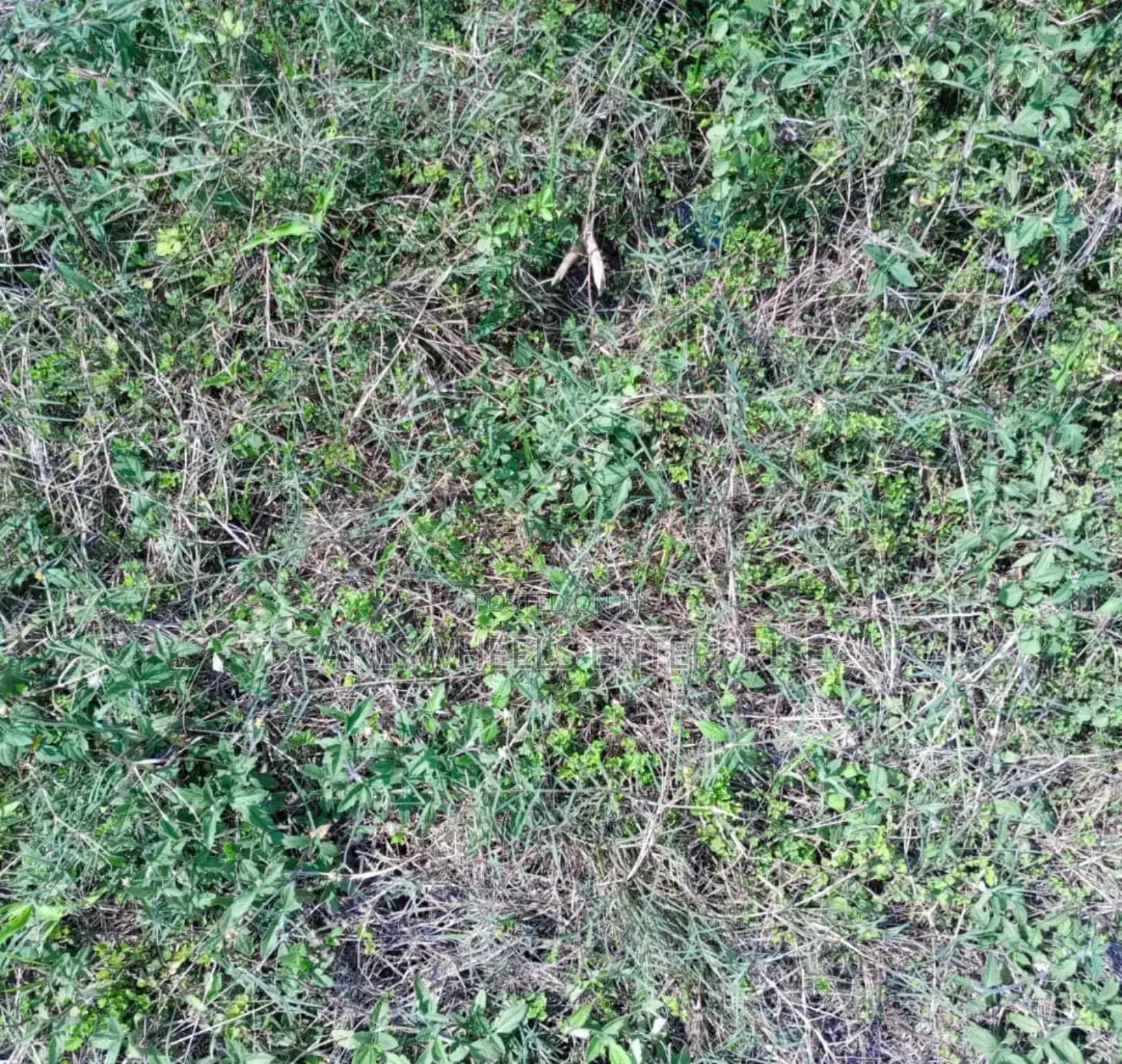 500sqm Size Plots of Land in Dangote Refinery Facingthe Road