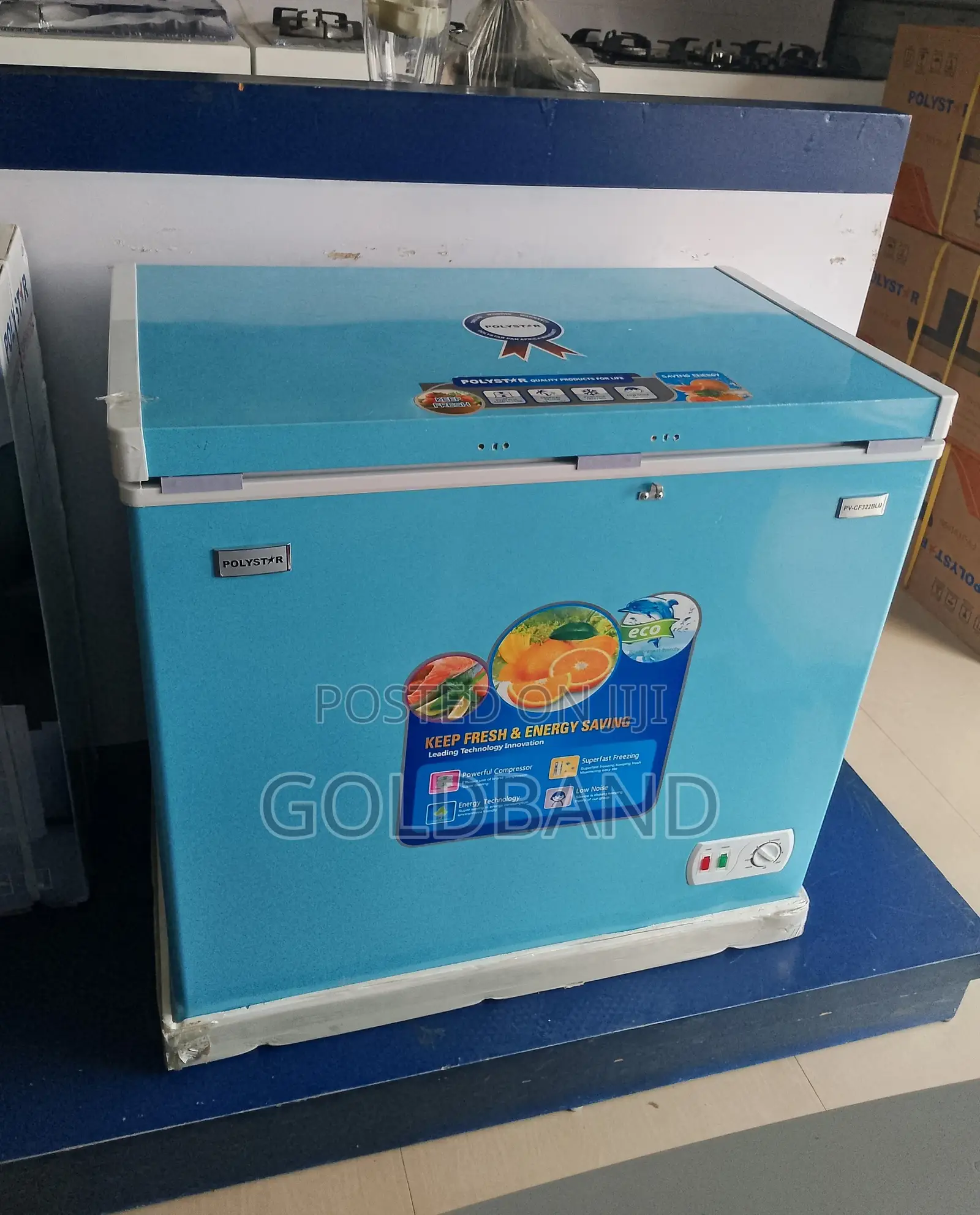 The Spacious Polystar Blue Chest Freezer "Pv-Cf322blu"