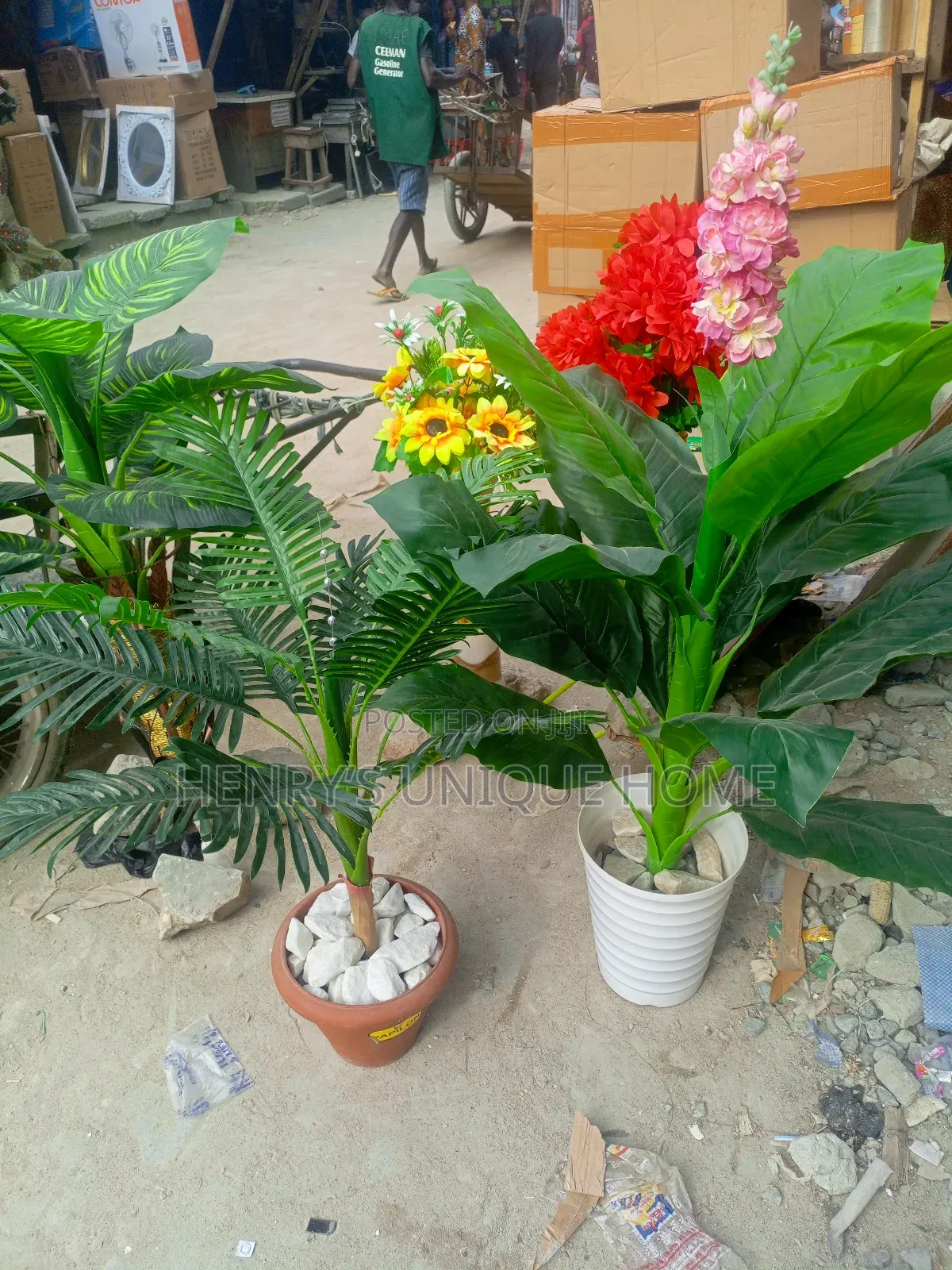 Flower  Garden