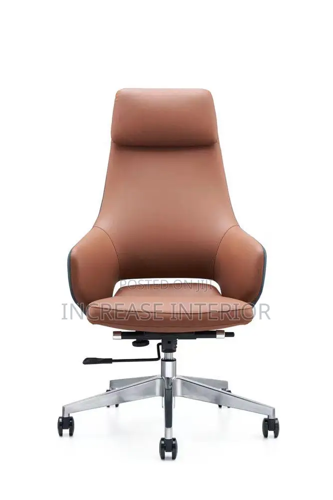 High Quality Imported Luxury Director Office Economy Chair