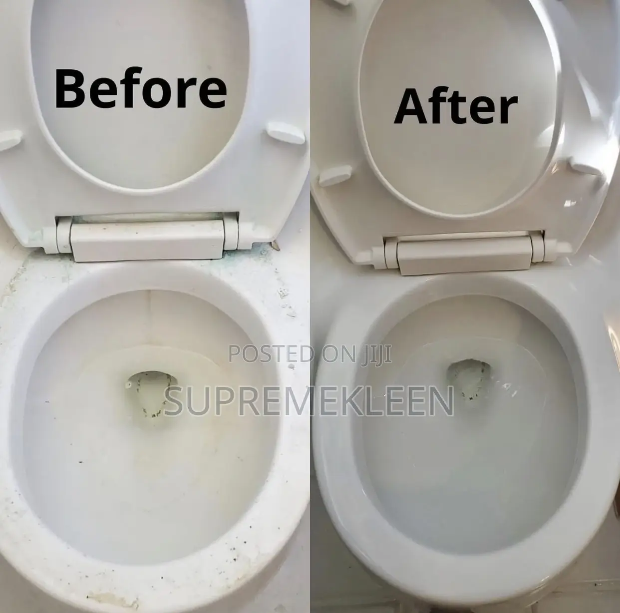 Toilet Cleaning Service