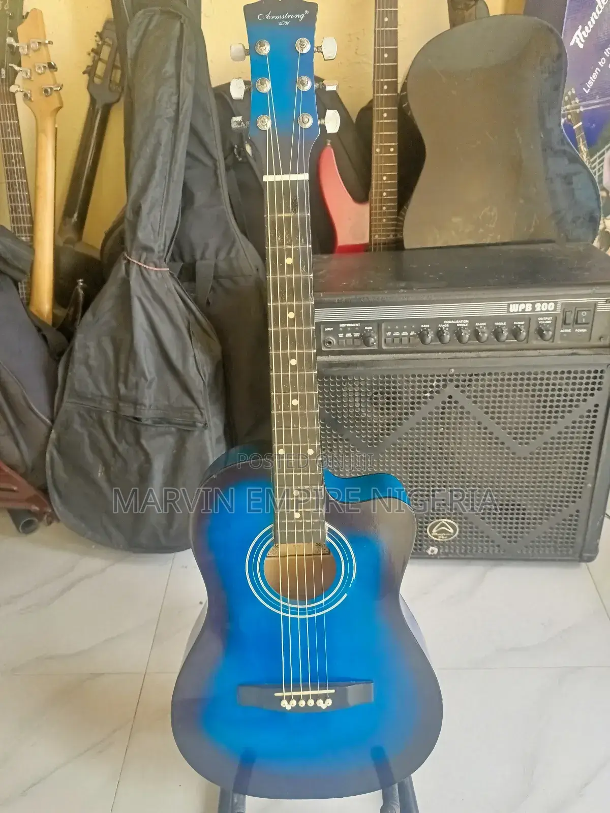 Armstrong Acoustic Guitar_ USA