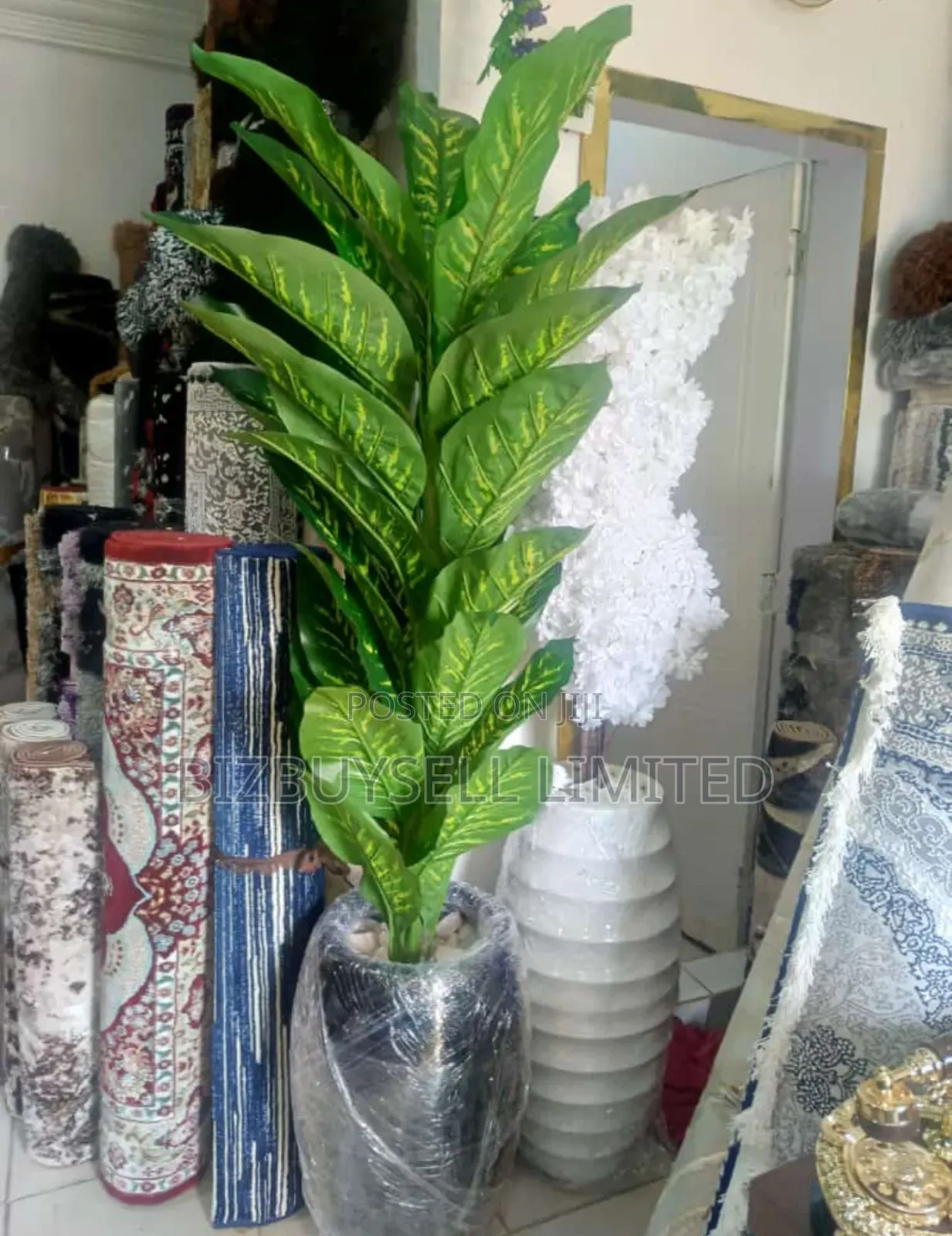 Indoor Flower And Vase