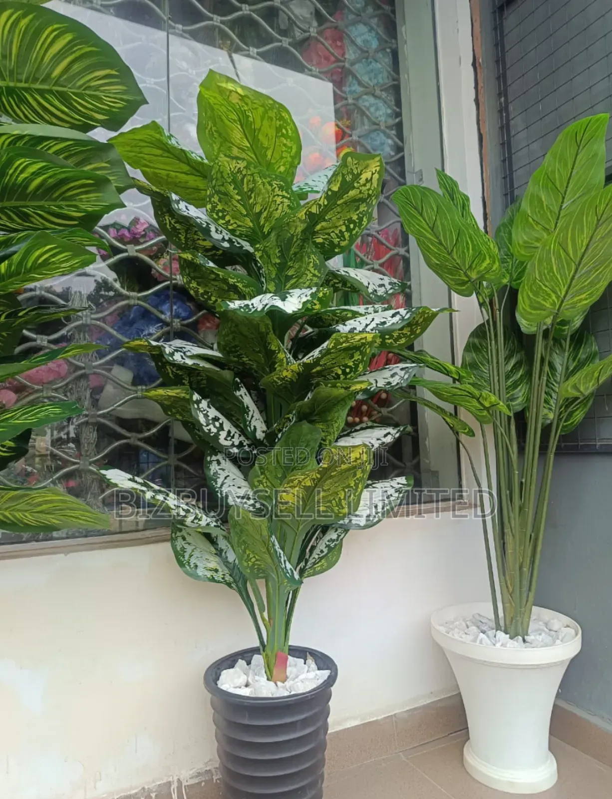 Indoor Flower And Vase