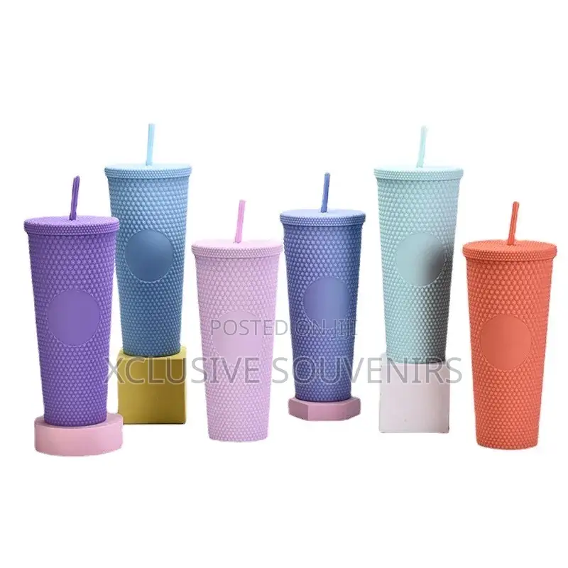 Double Wall Plastic Tumbler Cup With Straw and Lid