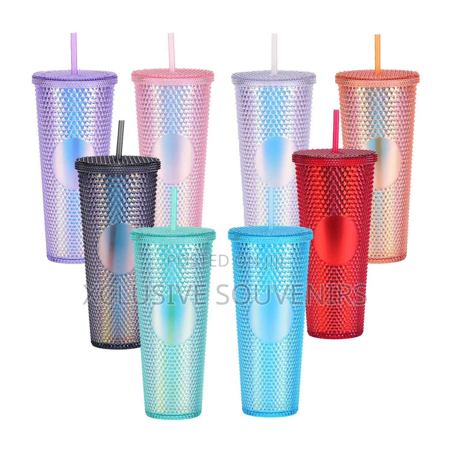 Double Wall Plastic Tumbler Cup With Straw and Lid