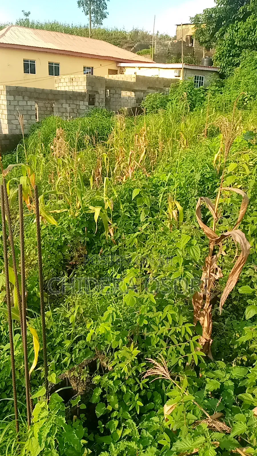 Land for Sale at Dutse