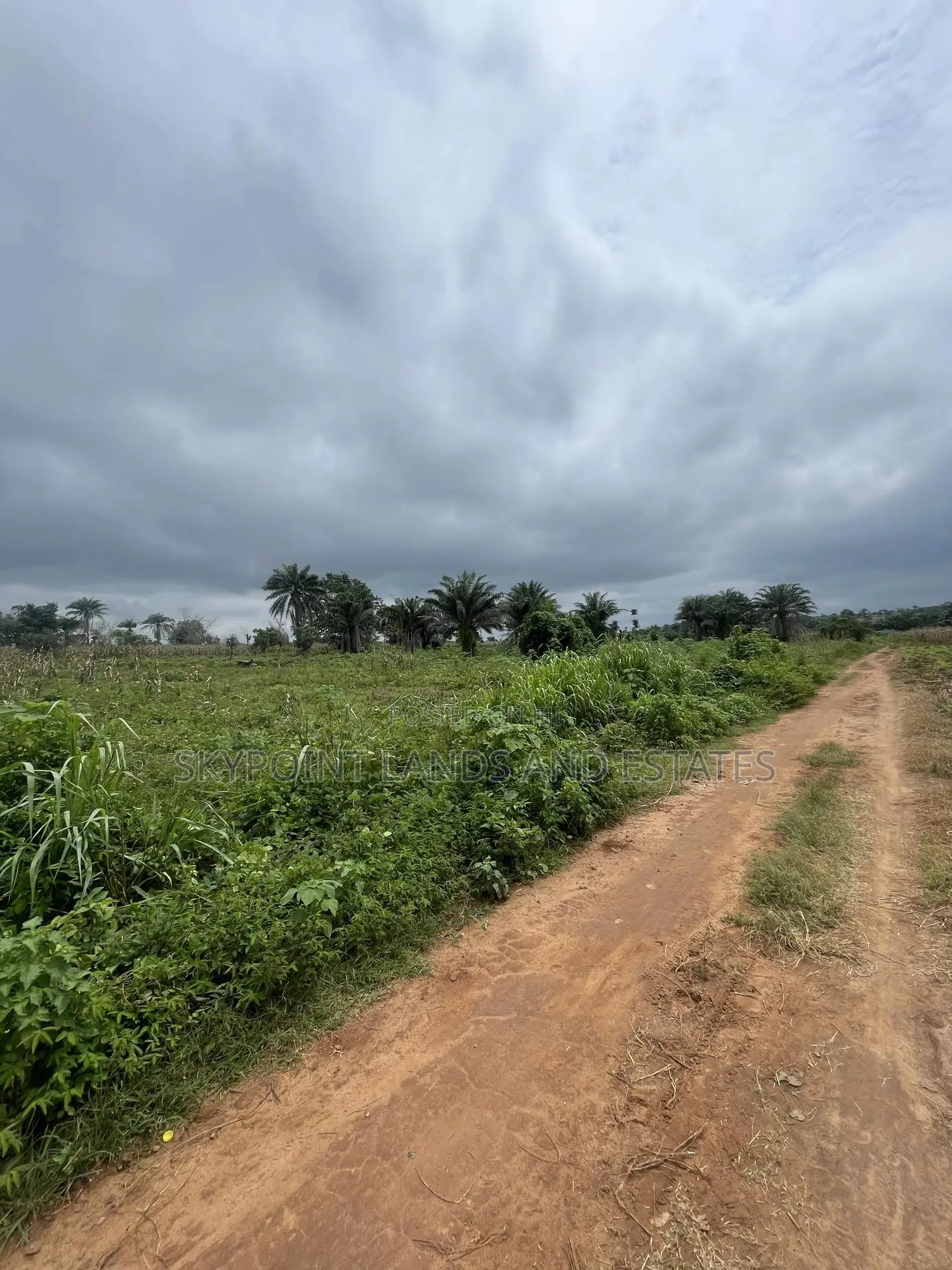 200 Acres Acres at Ipapo, Itesiwaju Lga