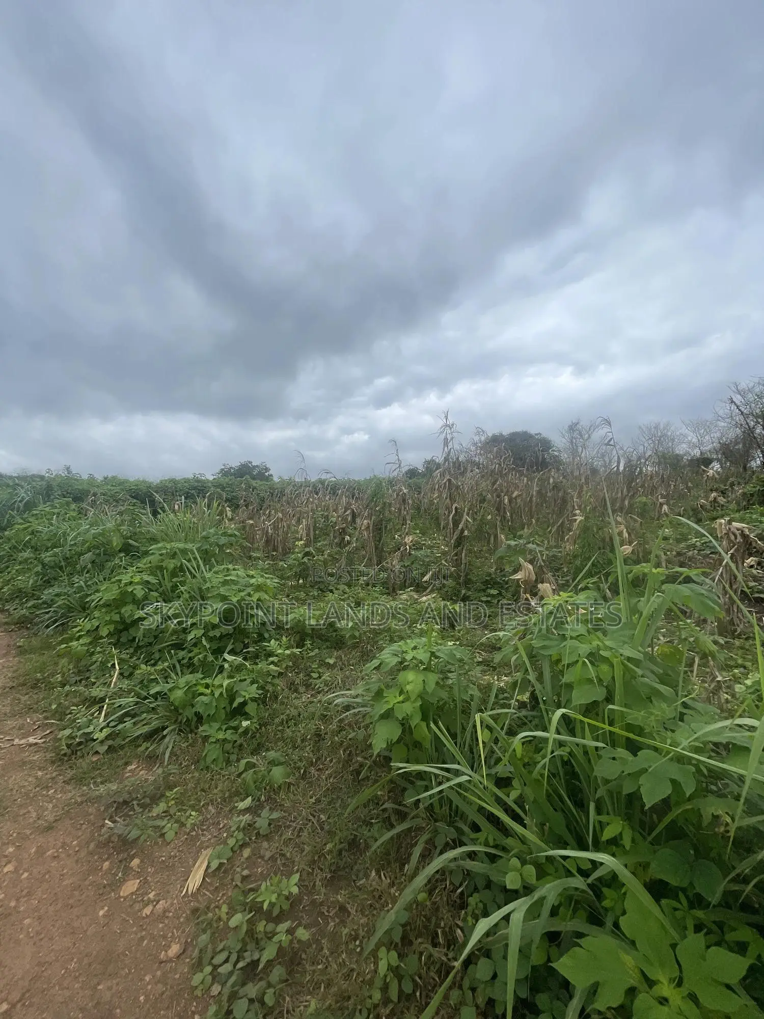 60 Acres of Farmland at Otu Itesiwaju LGA