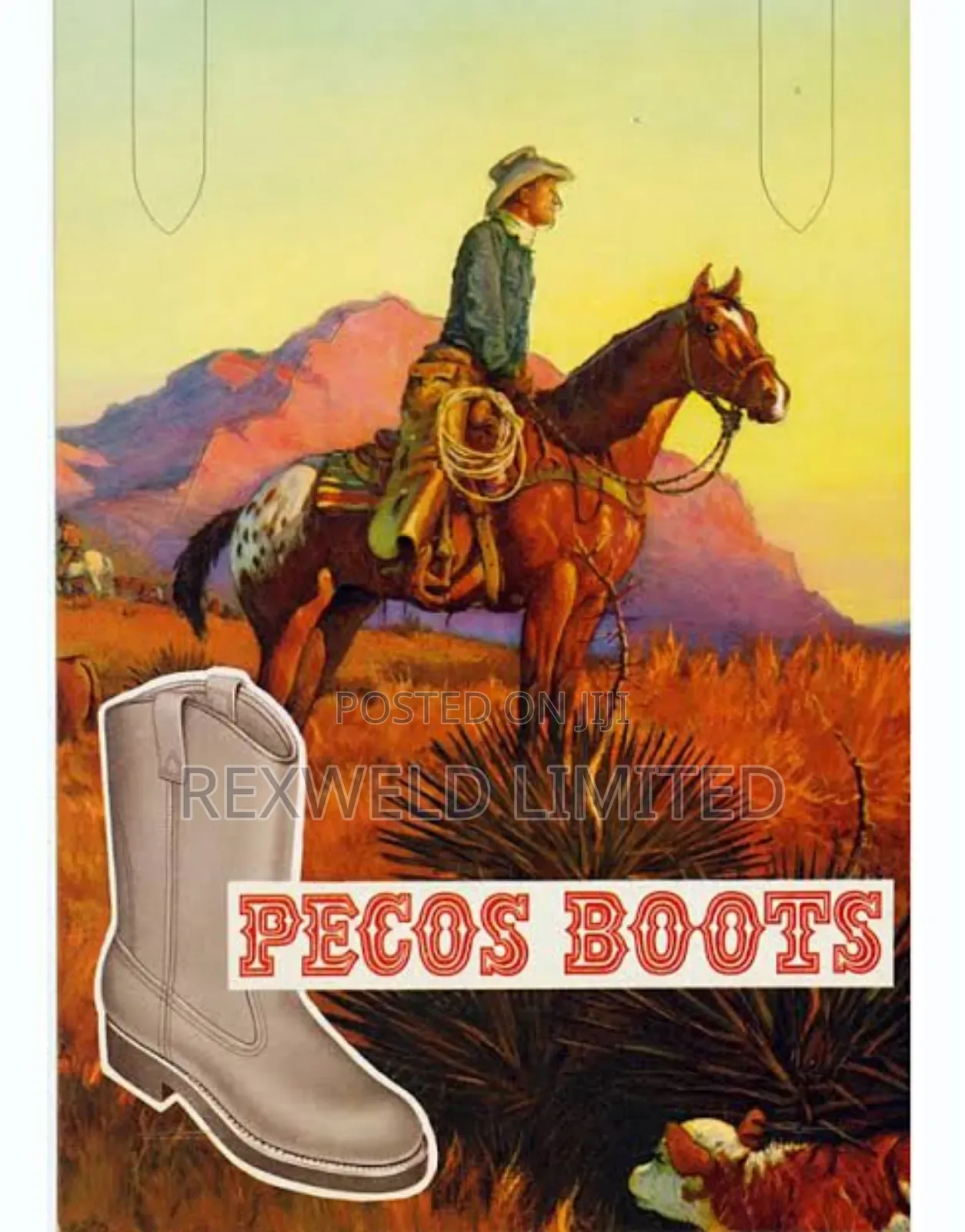 Redwings Cowboy Boot