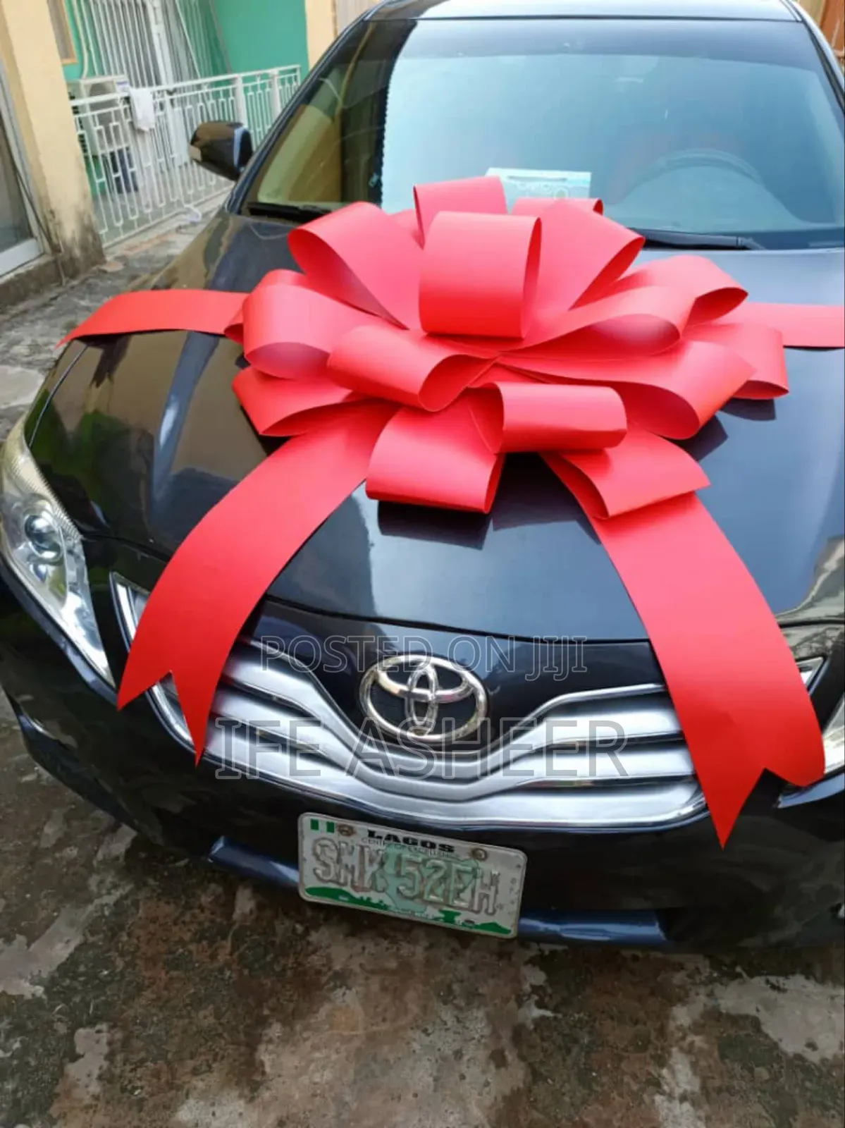 Giant Car Bow