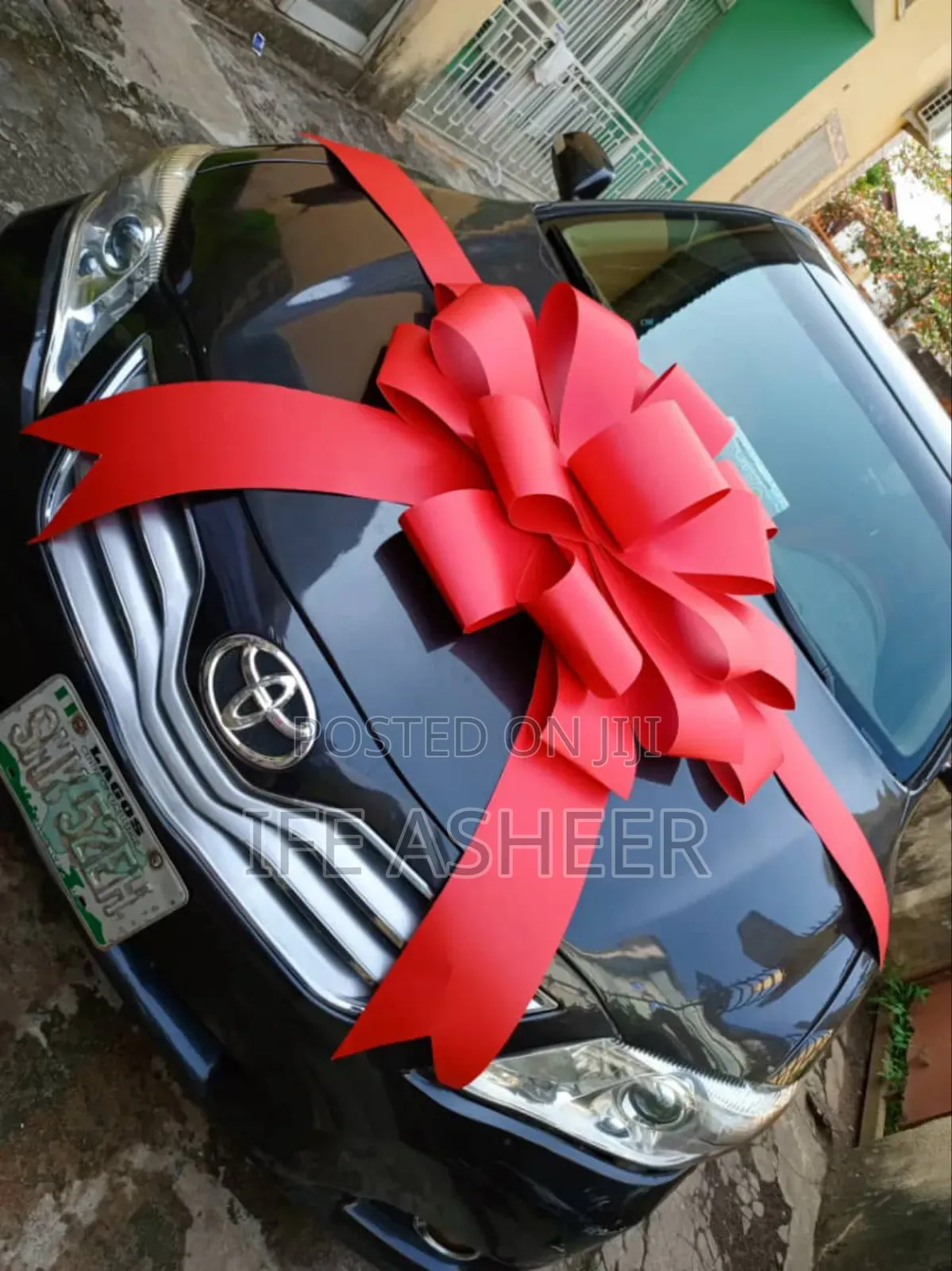 Giant Car Bow