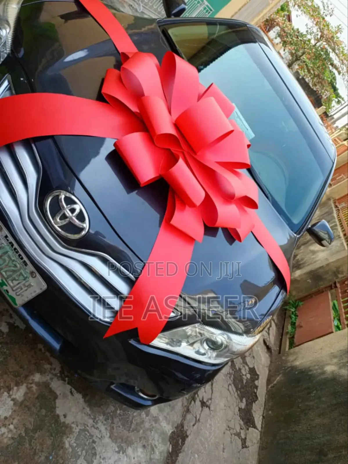 Small Size Car Bow