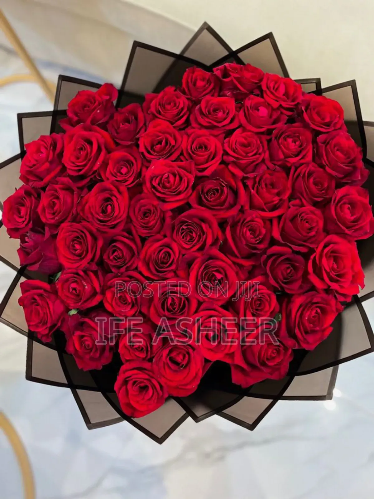 Big Scented Rose Flowers 002