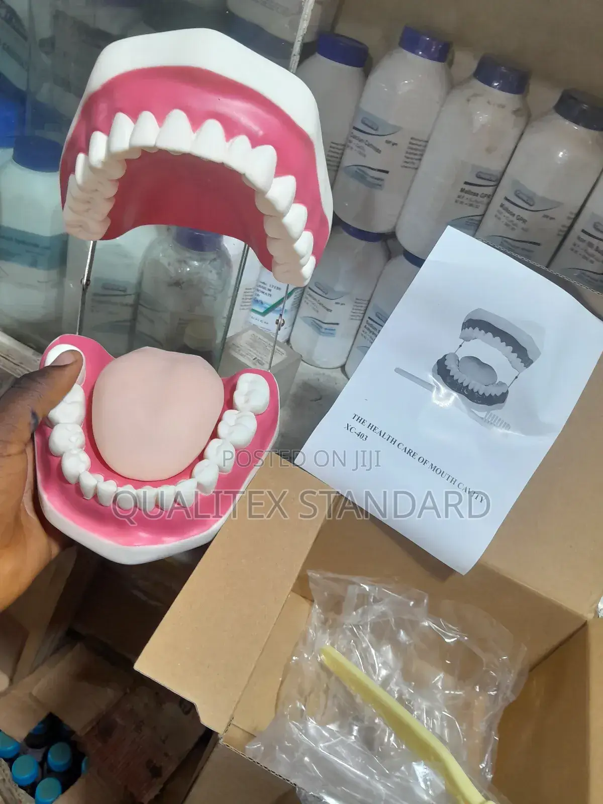 The Human Tongue Model