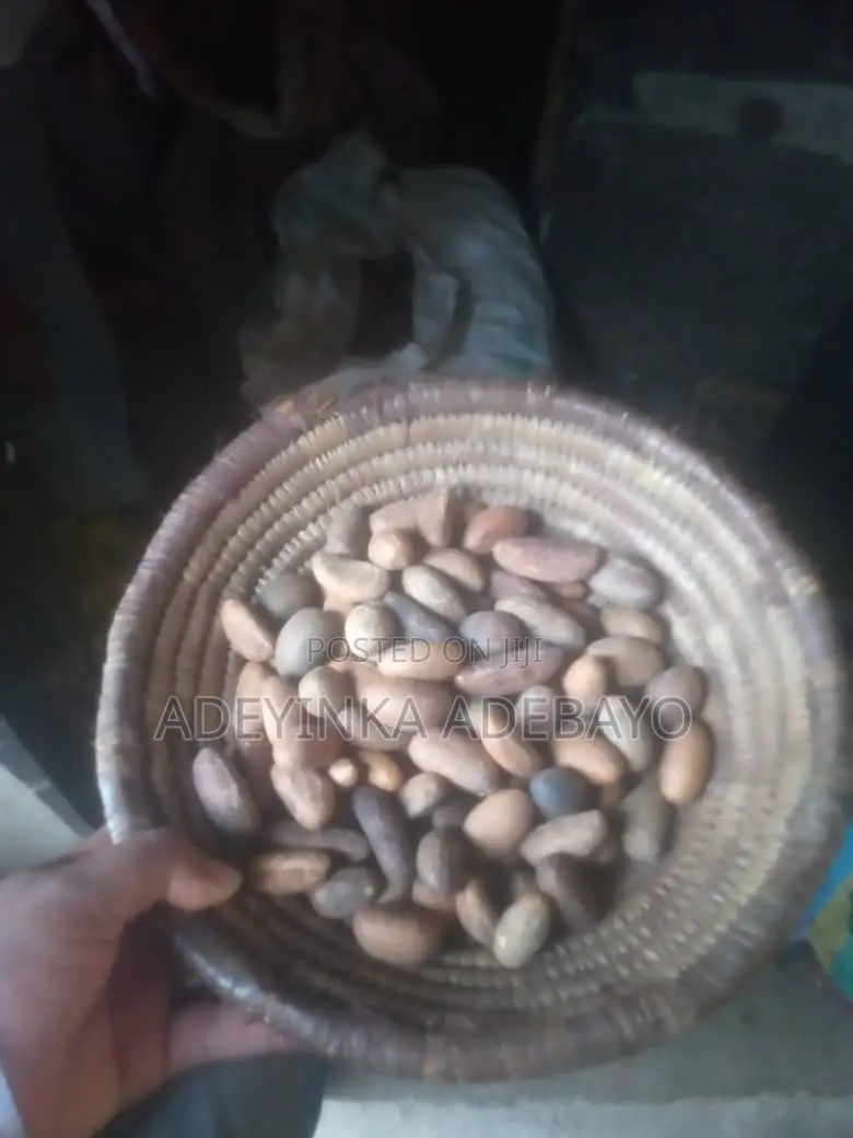 Fresh Healthy Bitter Kola