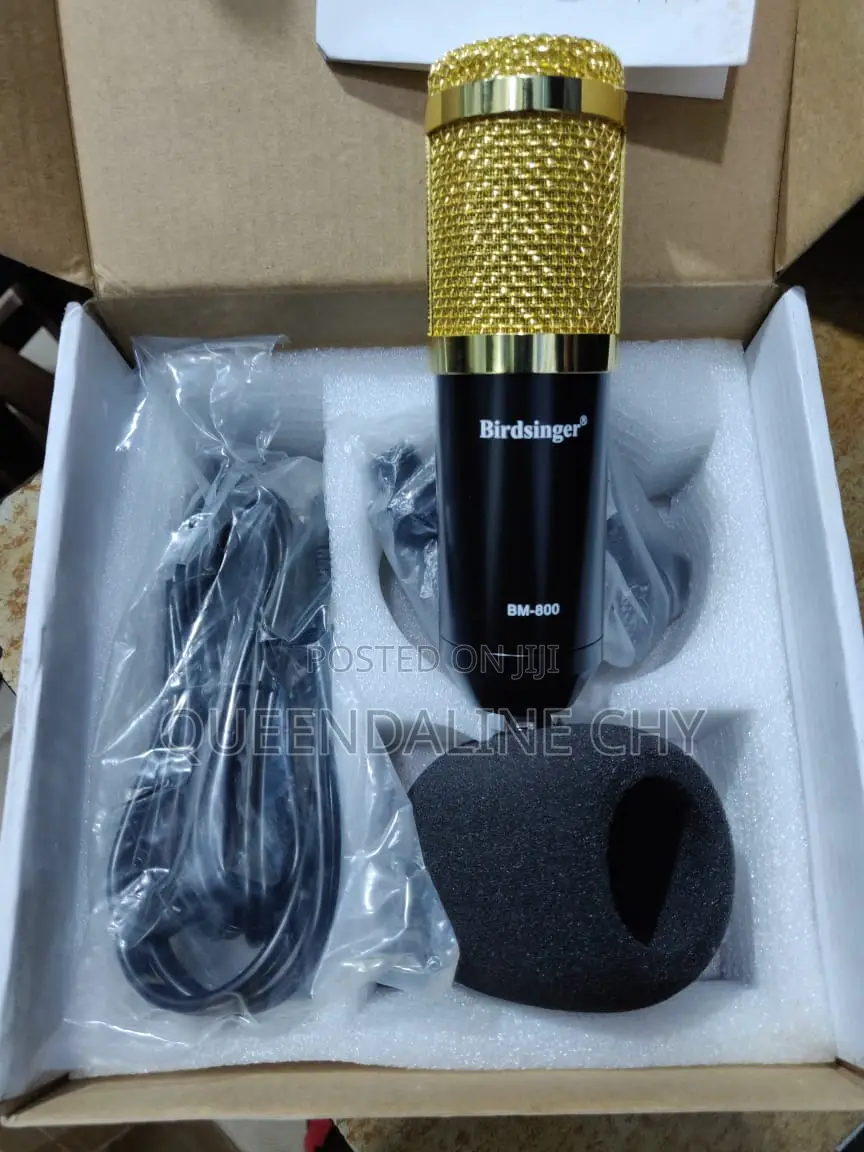 Bm-800 Studio Microphone