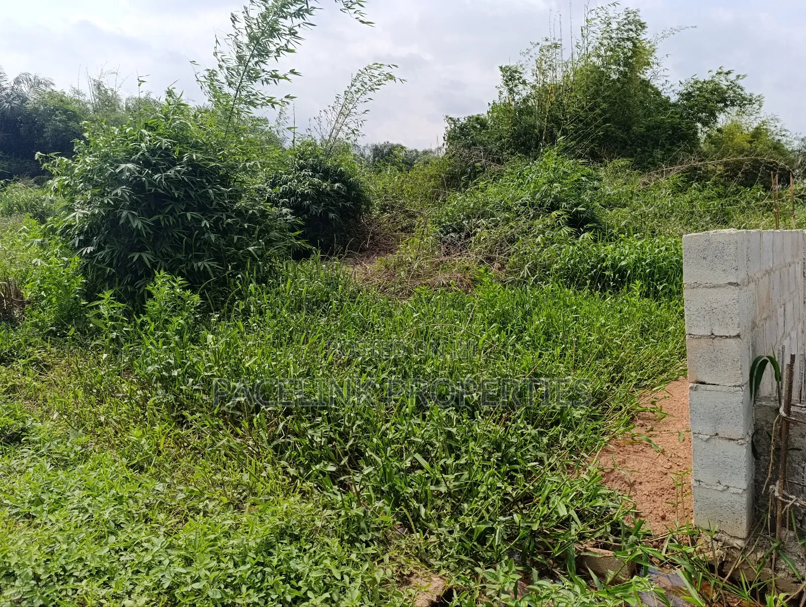 Half Plot of Land to Be Cut Out