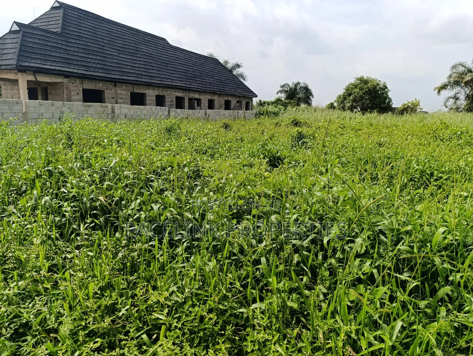 Half Plot of Land to Be Cut Out