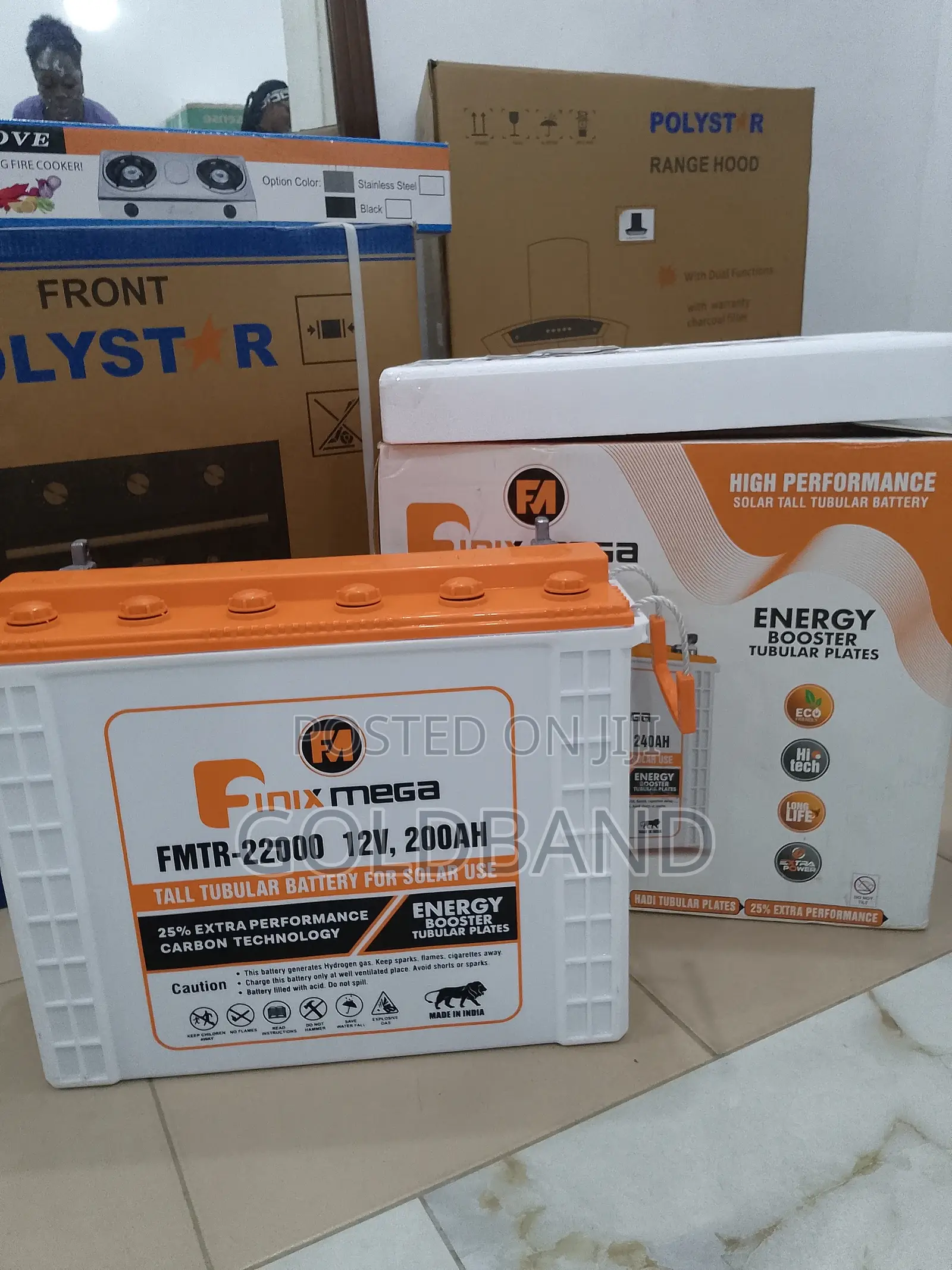 The Strongest Finix Mega Tall Tubular Battery for Solar Use