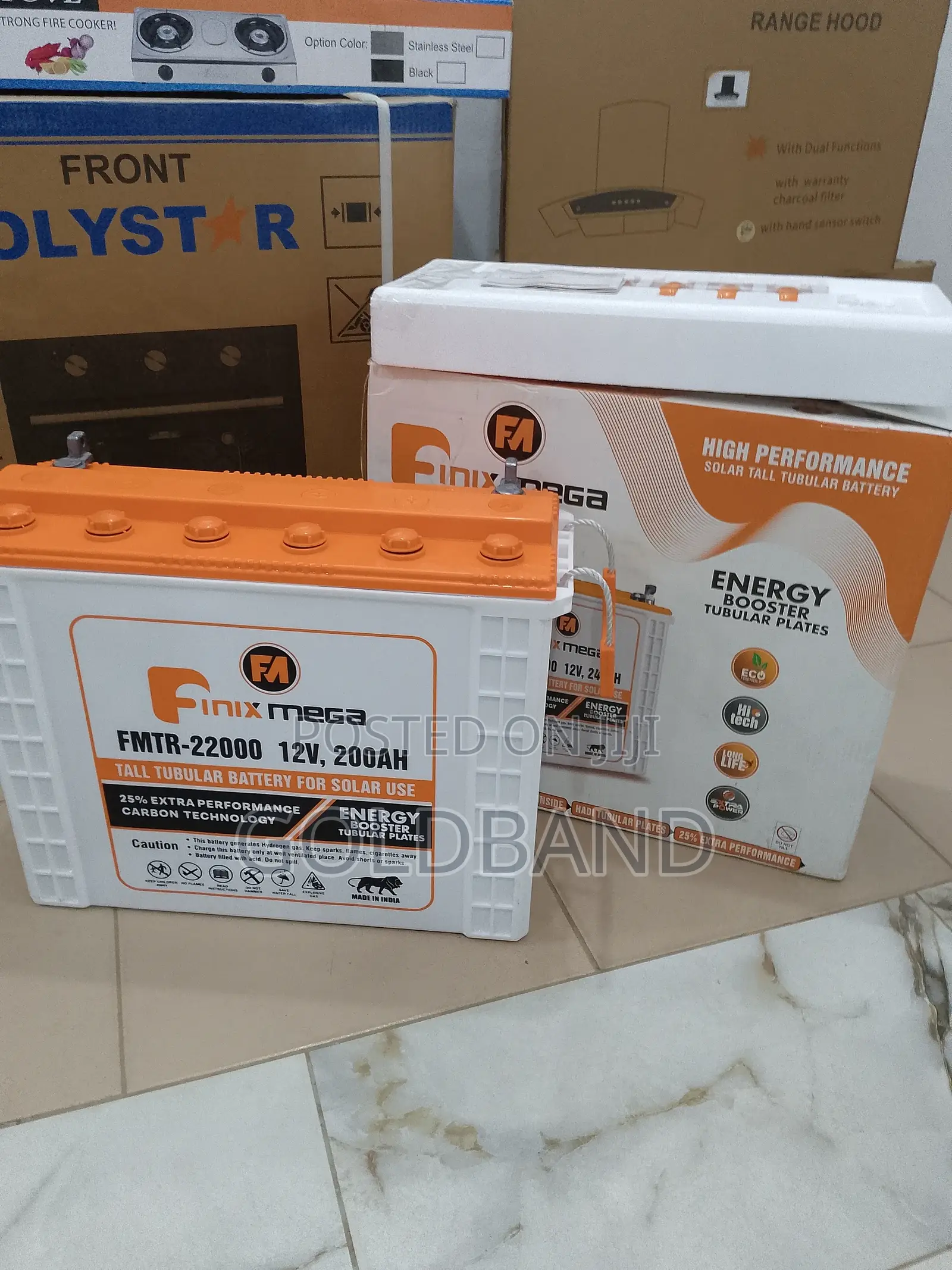 Newly Improved Finix Mega Tall Tubular Battery for Solar