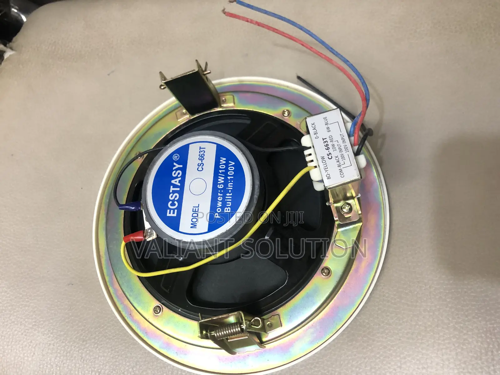 Ceiling Speaker