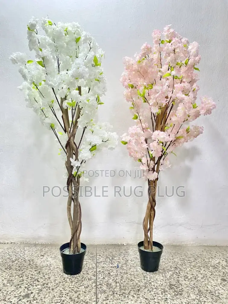 Beauty Flowers