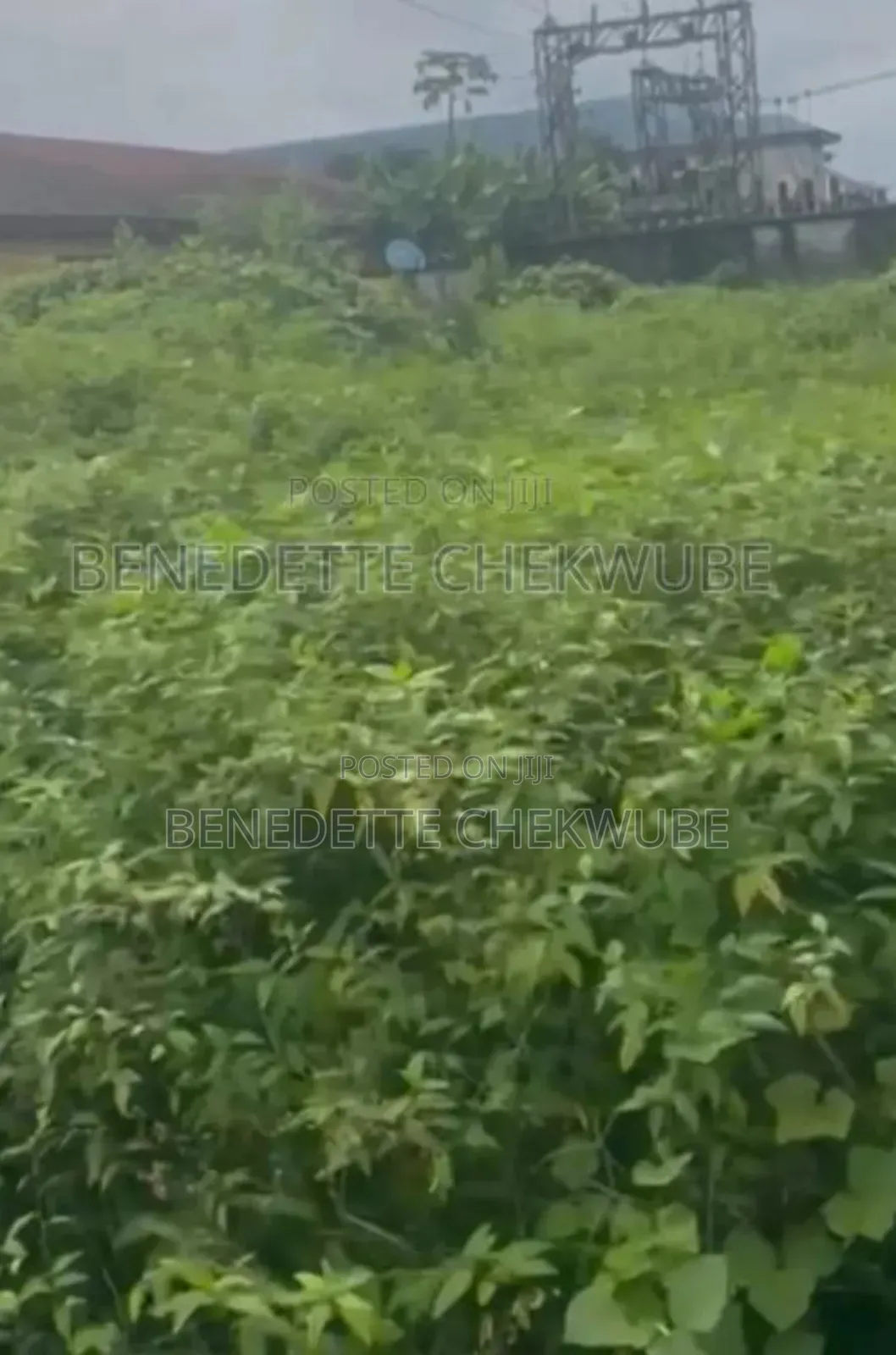 Land for Sale: