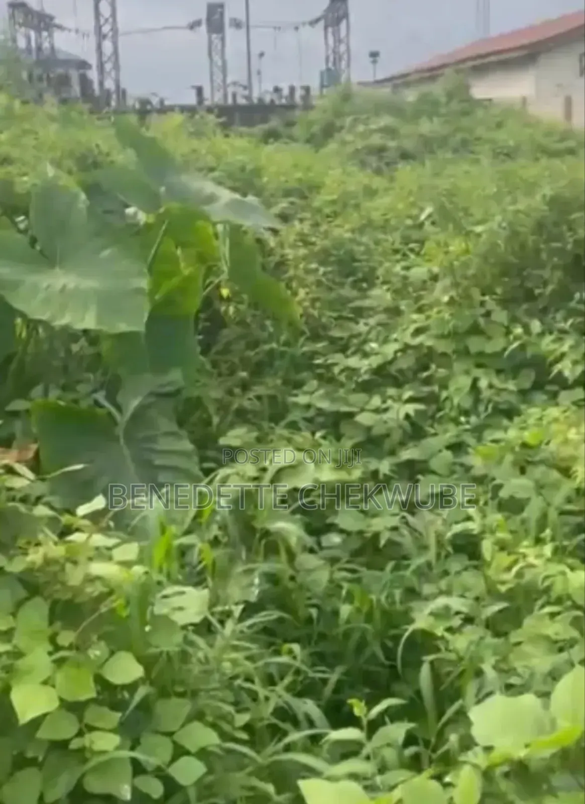 Land for Sale: