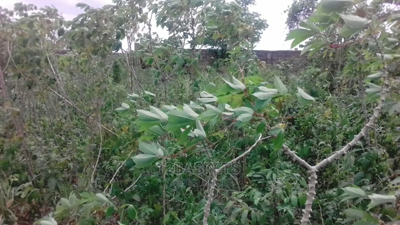 Half Plots of Land at Olowora, Ojodu Berger for Sale.