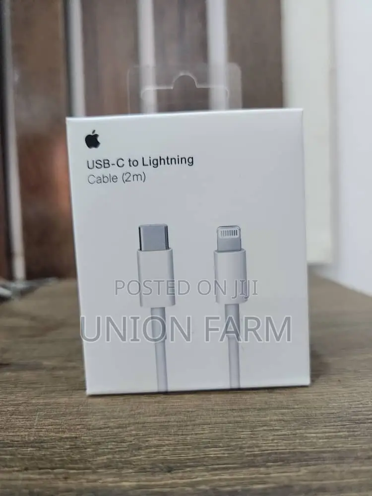 iPhone Charger