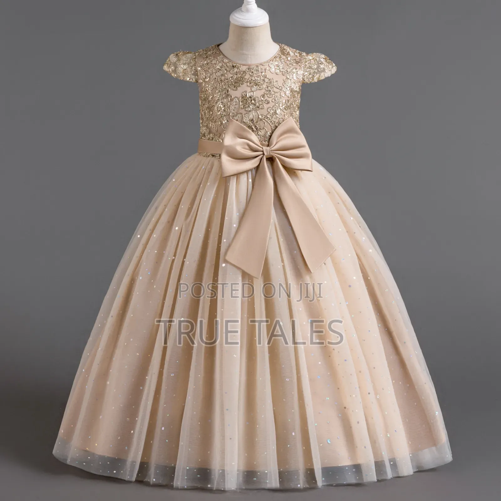 Girl's Cinderella Ball Gown Dresses