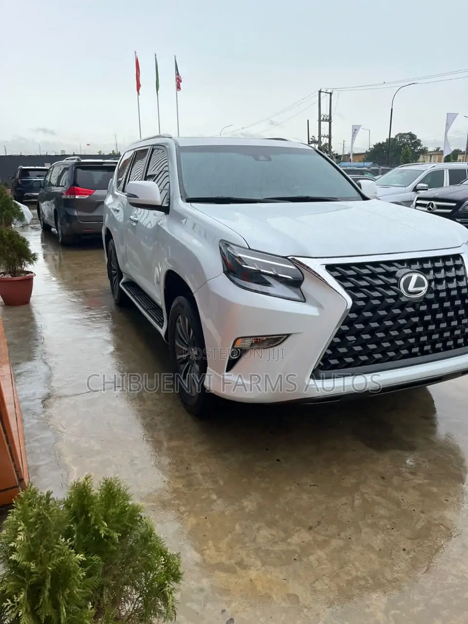 Lexus GX 460 2021 White