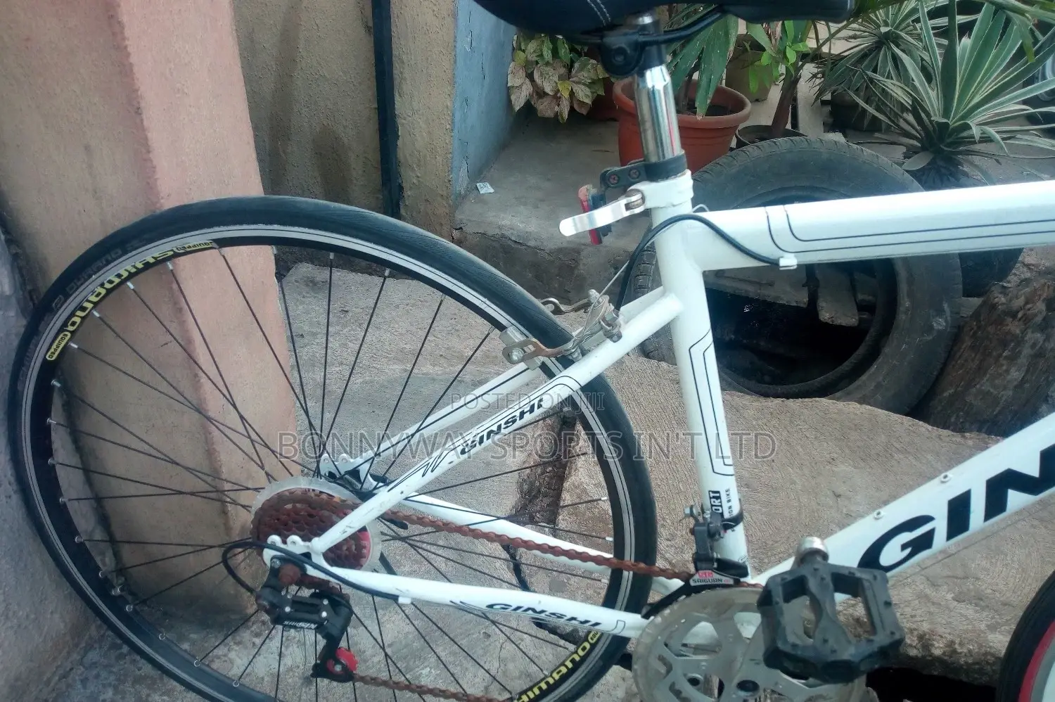 London Used Cycline Proffesional Bike