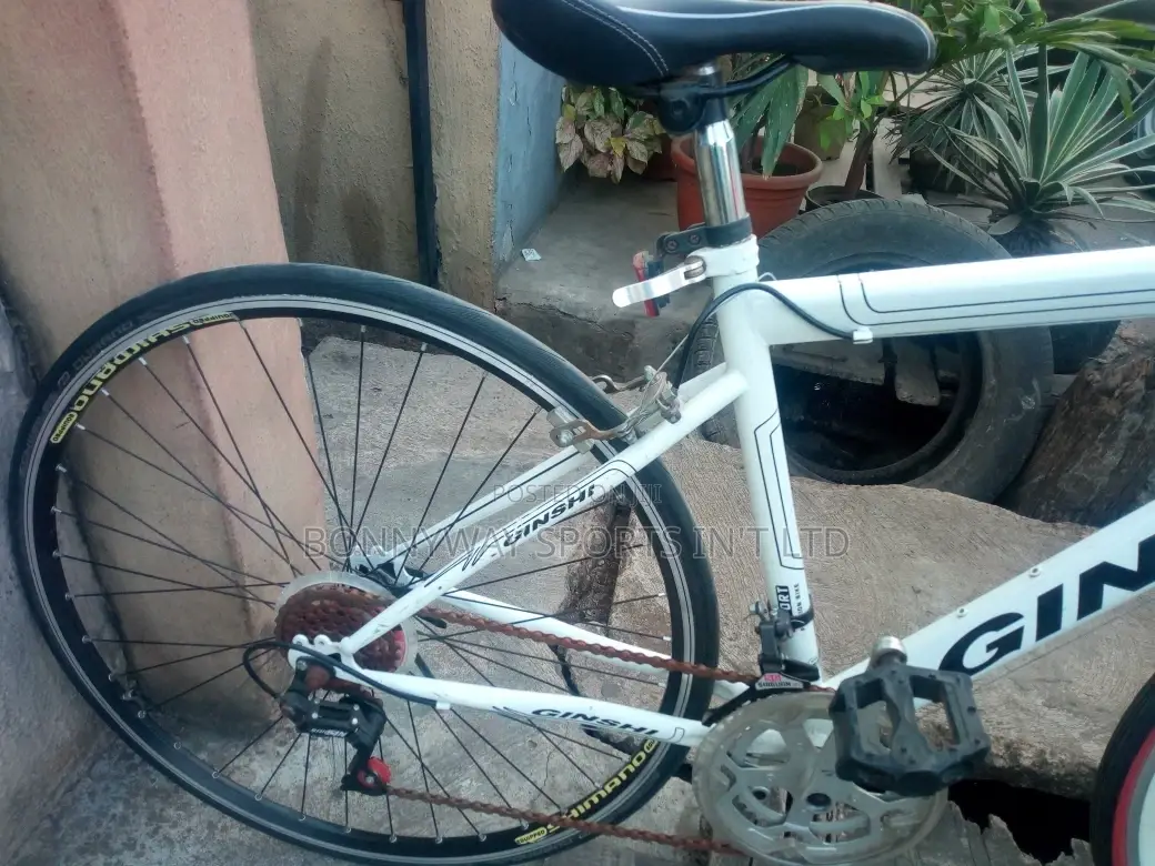 London Used Cycline Proffesional Bike
