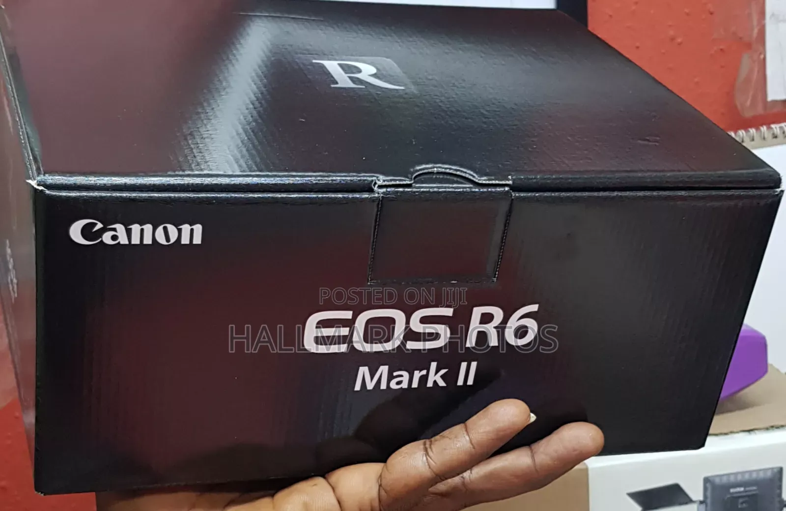 Canon Eos R6ii Mirroless Camera