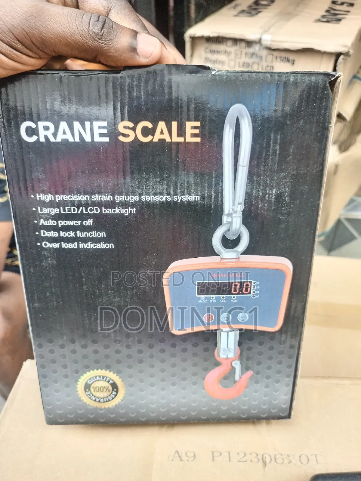 1000kg Crane Hanging Scale