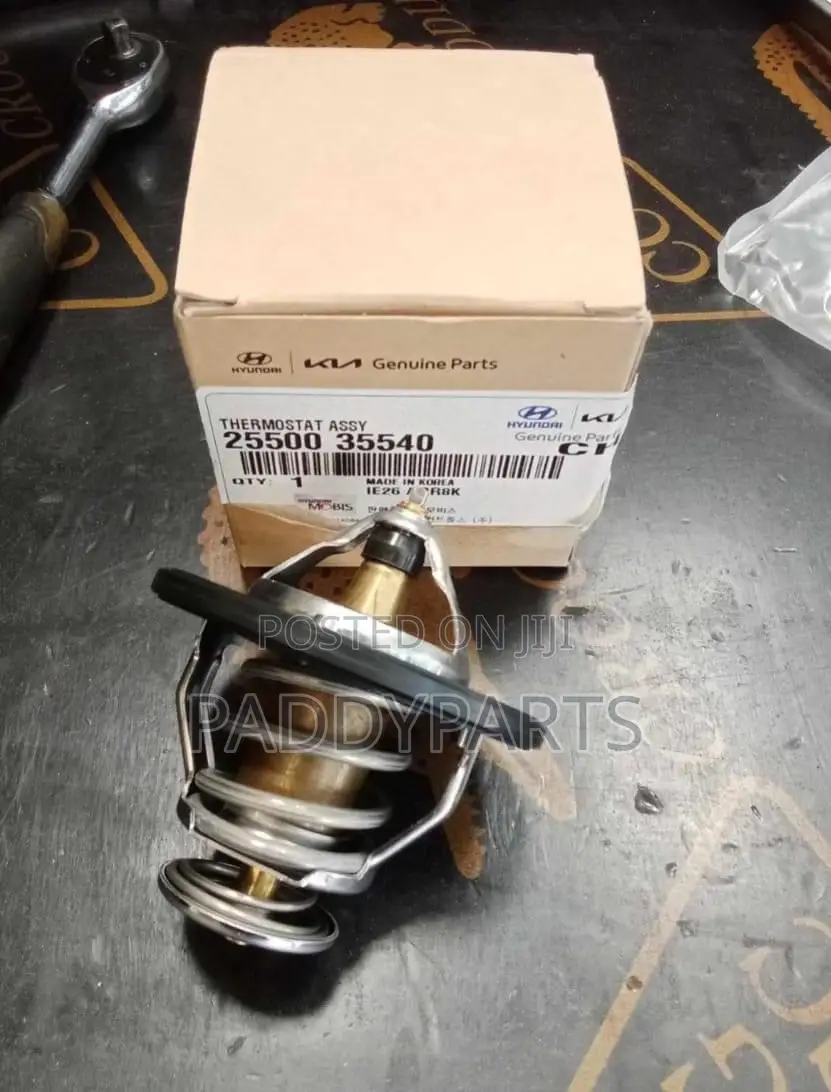 Hyundai Santa Fe Engine Thermostat