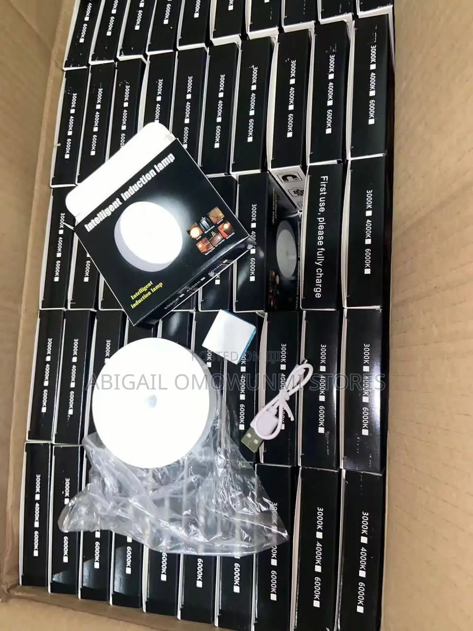 Led Human Body Induction Suction Light