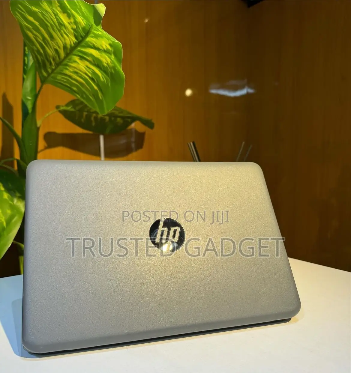 Laptop HP Stream 11 Pro G4 EE 4GB Intel Pentium SSD 60GB