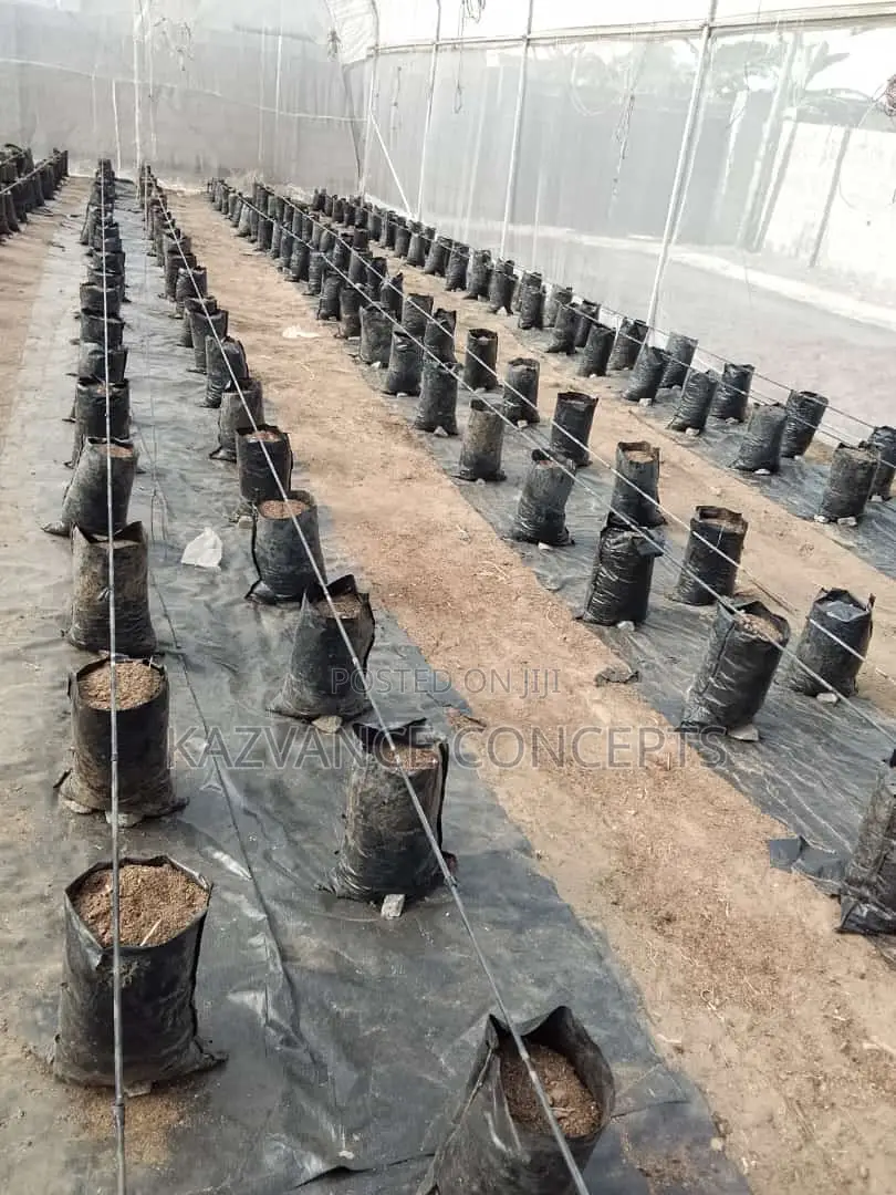 Nursery Grow Bags