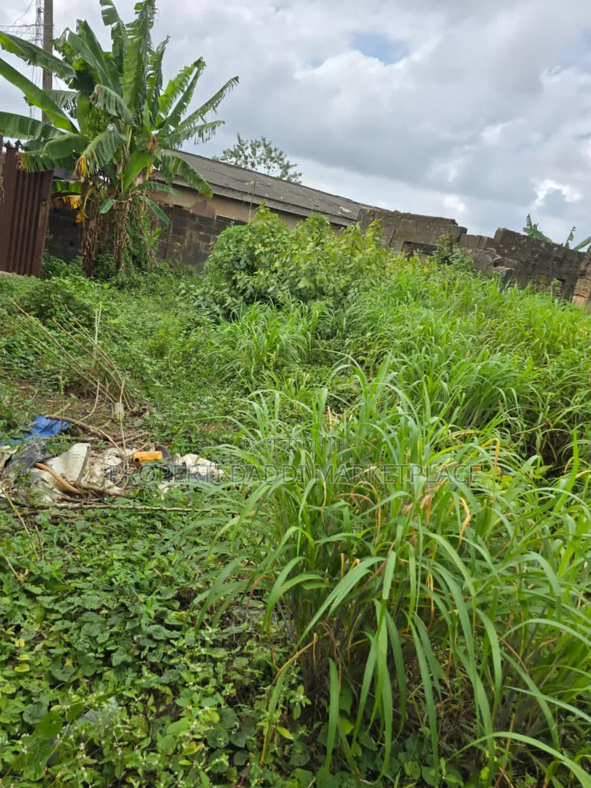 Be a Land/Property Owner Today