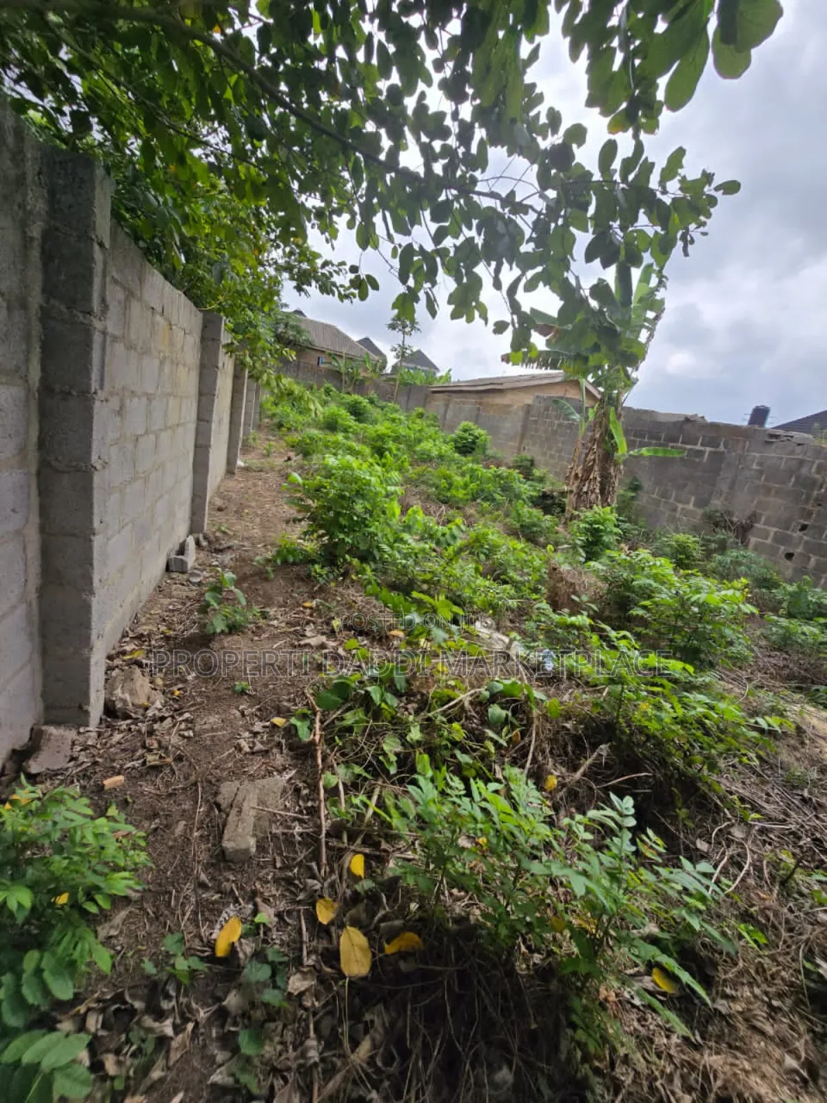 Dry Virgin for Sale in a Good Location Within Alimosho Lga