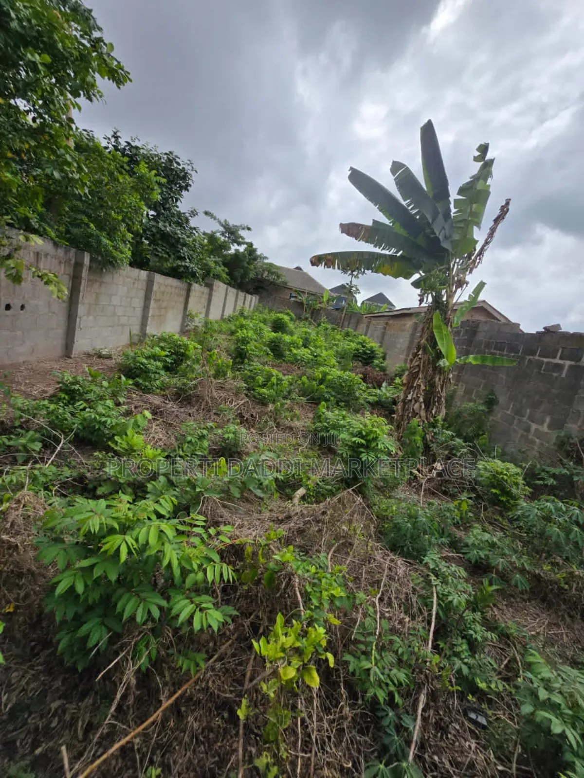 Dry Virgin for Sale in a Good Location Within Alimosho Lga