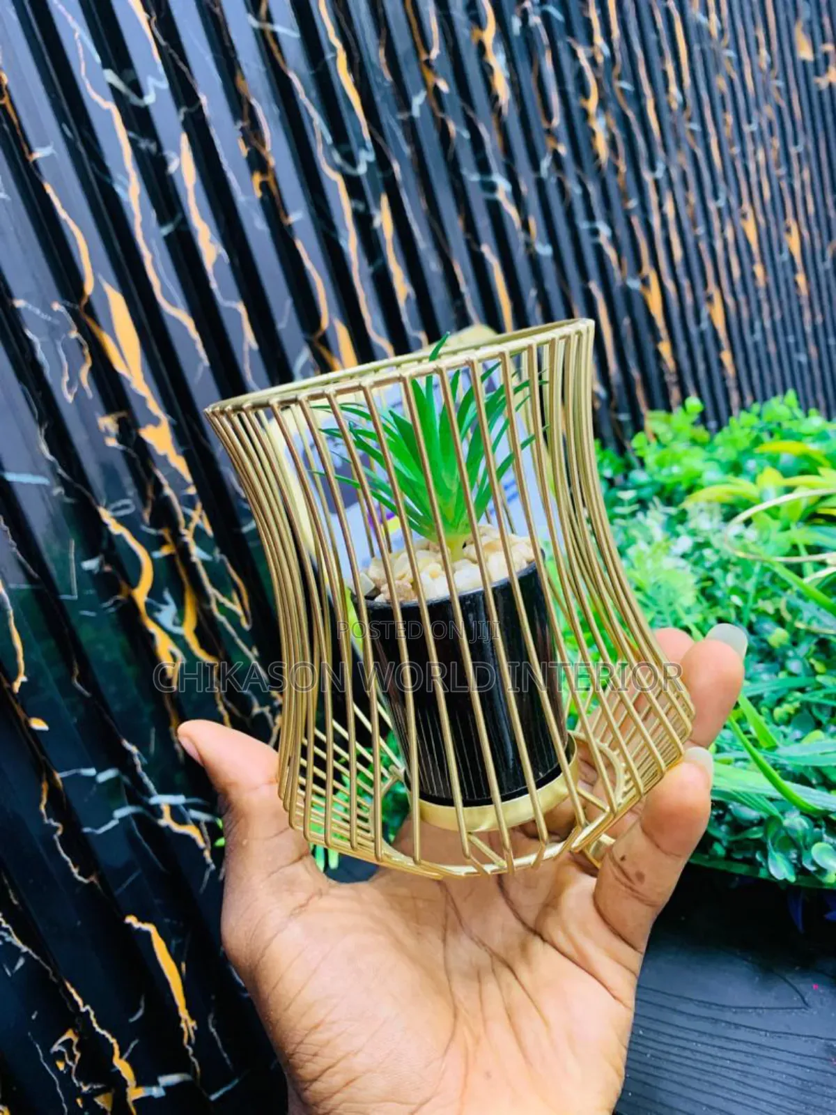 Beautiful Potted Plant 