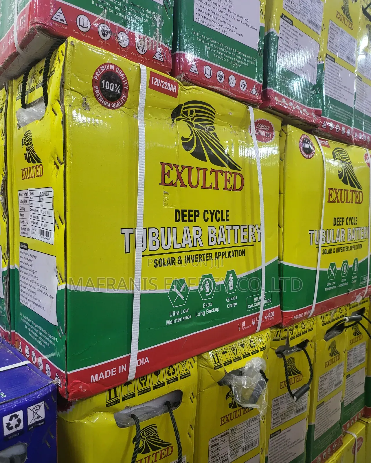 Exulted Solar 220amp Tubular Batteries