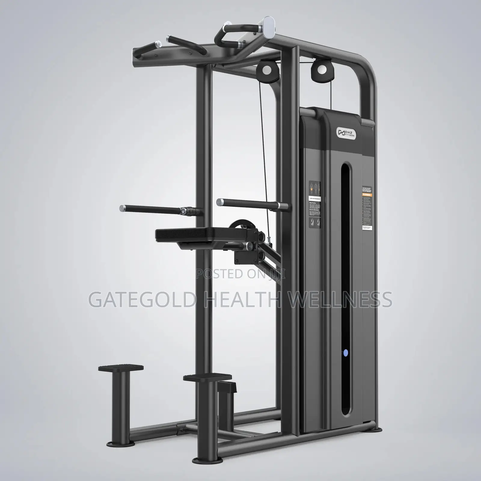 Dip Chin Assist (Dhz Brand) U2009c