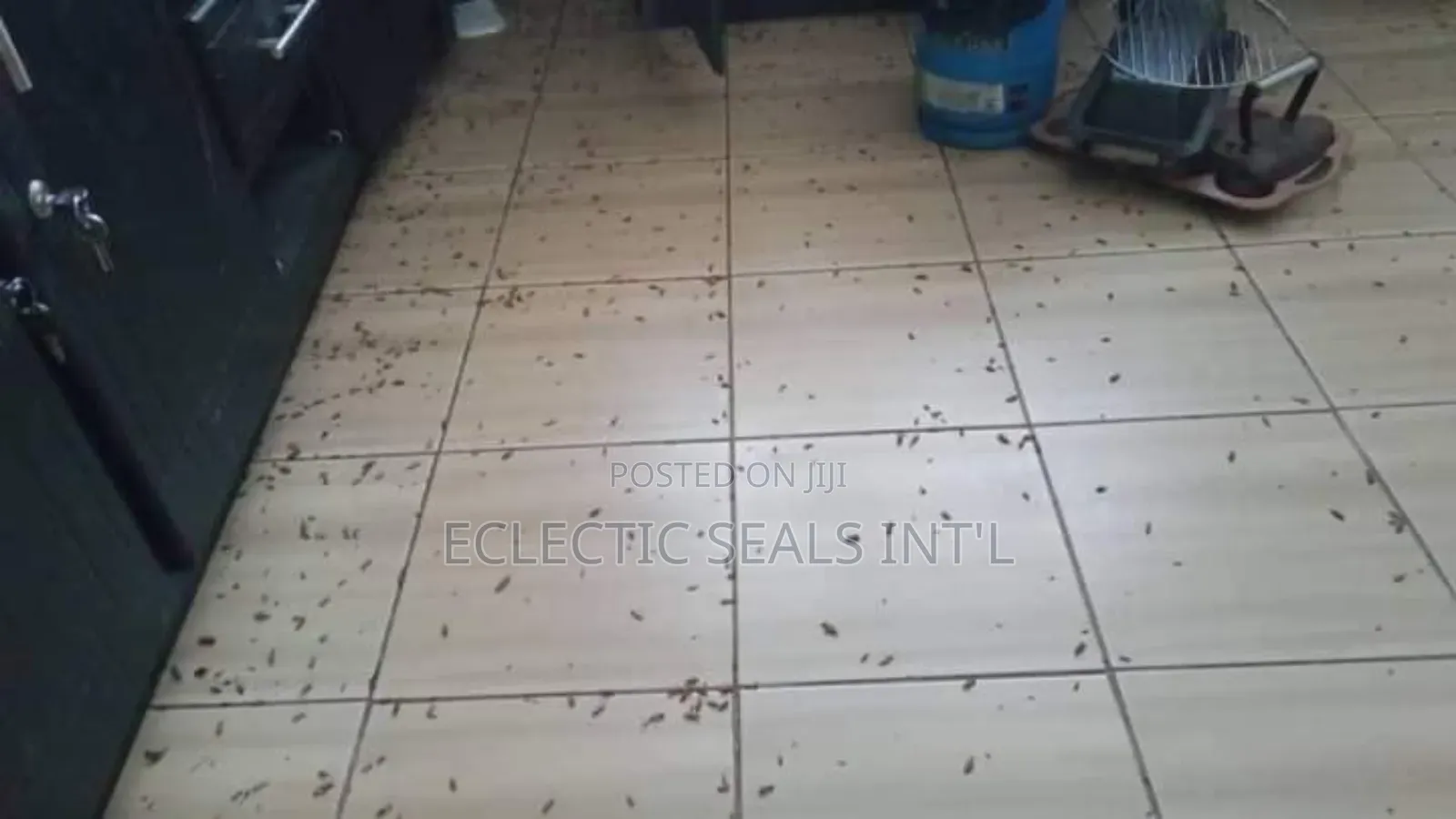 Pest Control Fumigation